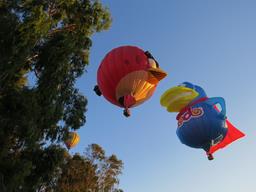 Cliquez pour agrandir l'image