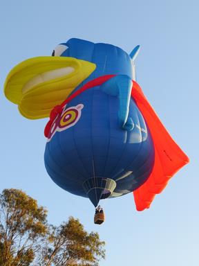 Cliquez pour agrandir l'image