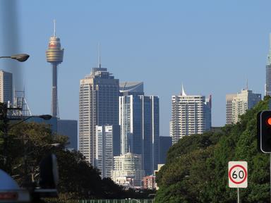 Cliquez pour agrandir l'image