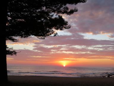 Cliquez pour agrandir l'image