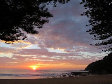 Cliquez pour agrandir l'image