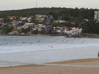 Cliquez pour agrandir l'image Cliquez pour agrandir l'image