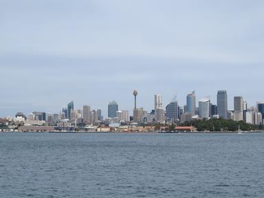 Cliquez pour agrandir l'image