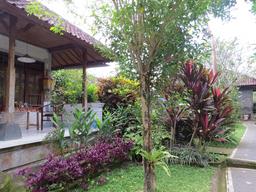 Cliquez pour agrandir l'image Cliquez pour agrandir l'image