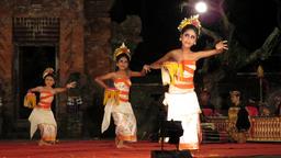 Cliquez pour agrandir l'image