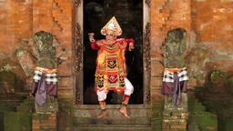 Cliquez pour agrandir l'image