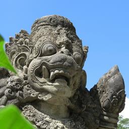 Cliquez pour agrandir l'image