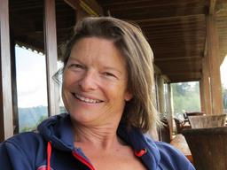 Cliquez pour agrandir l'image