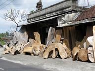 Cliquez pour agrandir l'image