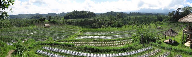 Cliquez pour agrandir l'image