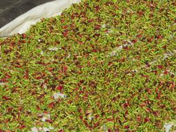 Cliquez pour agrandir l'image Cliquez pour agrandir l'image