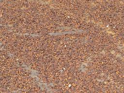 Cliquez pour agrandir l'image Cliquez pour agrandir l'image