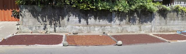 Cliquez pour agrandir l'image Cliquez pour agrandir l'image