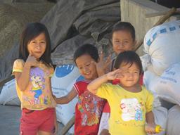 Cliquez pour agrandir l'image