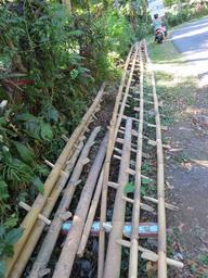 Cliquez pour agrandir l'image Cliquez pour agrandir l'image