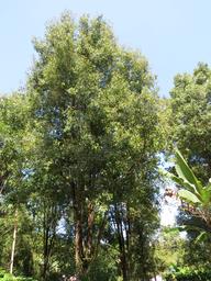 Cliquez pour agrandir l'image