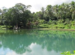 Cliquez pour agrandir l'image