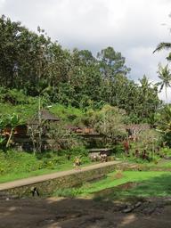 Cliquez pour agrandir l'image