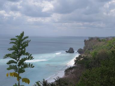 Cliquez pour agrandir l'image Cliquez pour agrandir l'image