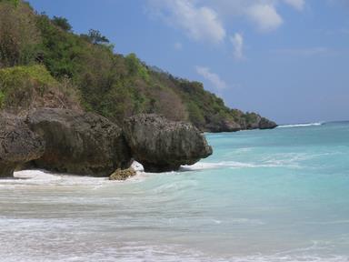 Cliquez pour agrandir l'image Cliquez pour agrandir l'image