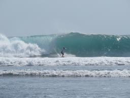 Cliquez pour agrandir l'image