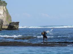 Cliquez pour agrandir l'image