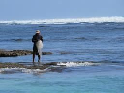 Cliquez pour agrandir l'image