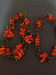 Cliquez pour agrandir l'image