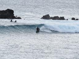 Cliquez pour agrandir l'image