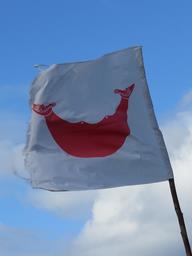 Cliquez pour agrandir l'image