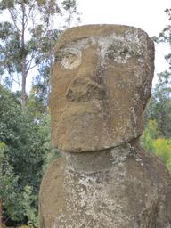 Cliquez pour agrandir l'image