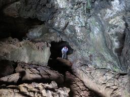 Cliquez pour agrandir l'image