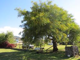 Cliquez pour agrandir l'image