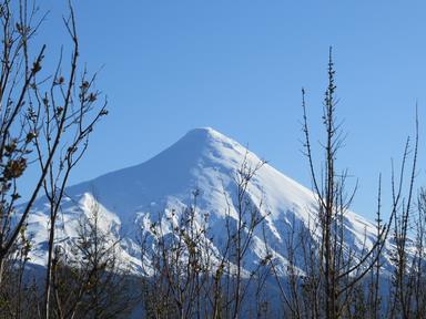 Cliquez pour agrandir l'image Cliquez pour agrandir l'image