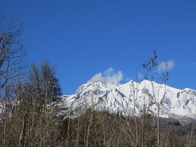 Cliquez pour agrandir l'image Cliquez pour agrandir l'image