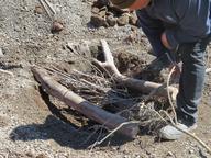 Cliquez pour agrandir l'image