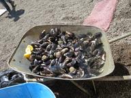 Cliquez pour agrandir l'image