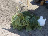 Cliquez pour agrandir l'image