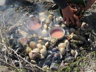 Cliquez pour agrandir l'image