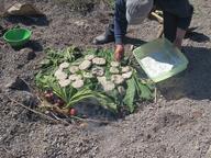 Cliquez pour agrandir l'image