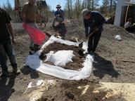 Cliquez pour agrandir l'image