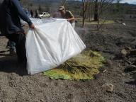 Cliquez pour agrandir l'image