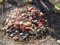 Cliquez pour agrandir l'image