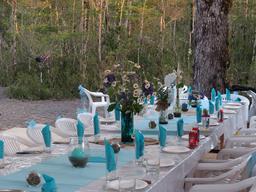 Cliquez pour agrandir l'image