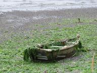 Cliquez pour agrandir l'image