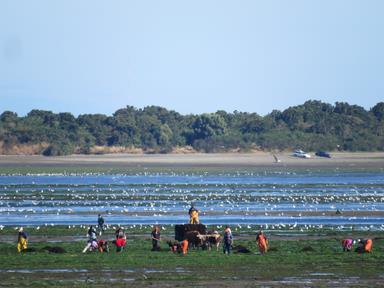 Cliquez pour agrandir l'image