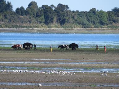 Cliquez pour agrandir l'image