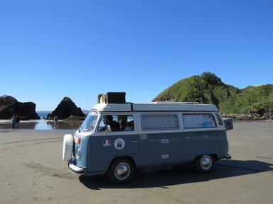 Cliquez pour agrandir l'image