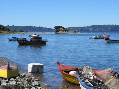 Cliquez pour agrandir l'image