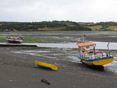 Cliquez pour agrandir l'image